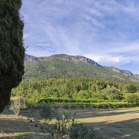Country House Uros In Nature With Pool Lovorno ภายนอก รูปภาพ