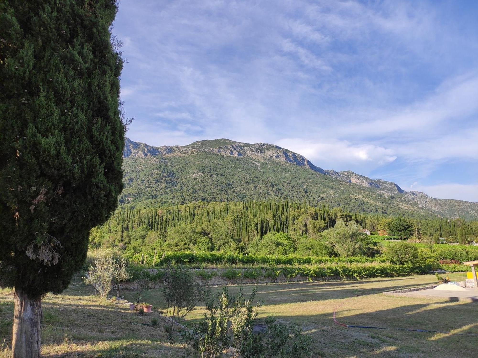 Country House Uros In Nature With Pool Lovorno ภายนอก รูปภาพ