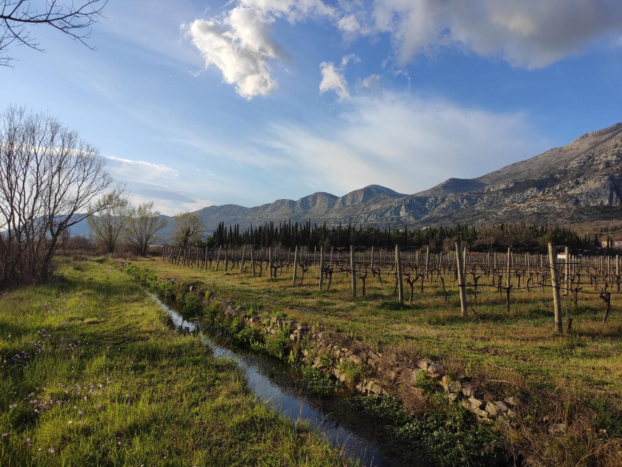 Country House Uros In Nature With Pool Lovorno ภายนอก รูปภาพ