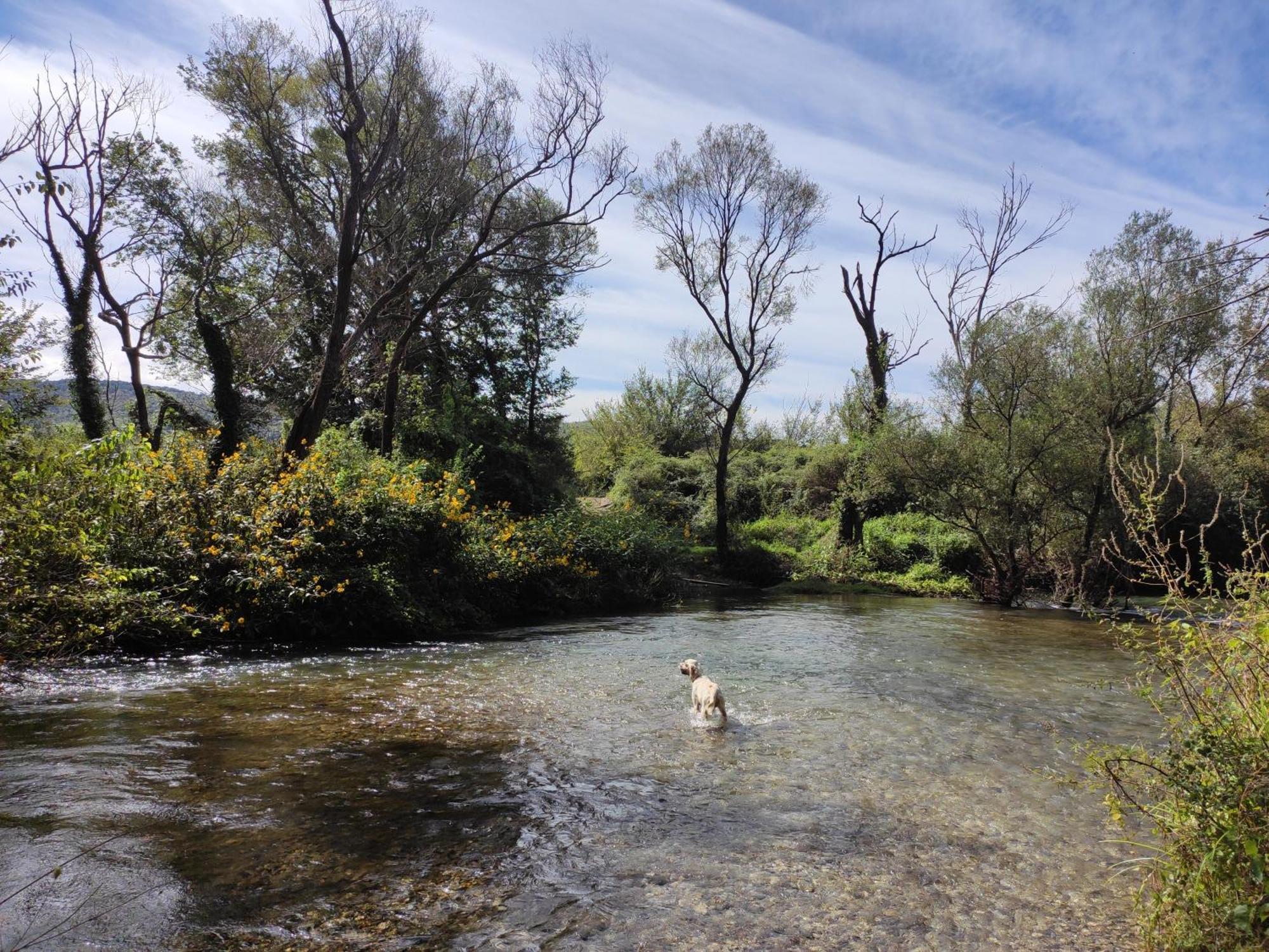 Country House Uros In Nature With Pool Lovorno ภายนอก รูปภาพ
